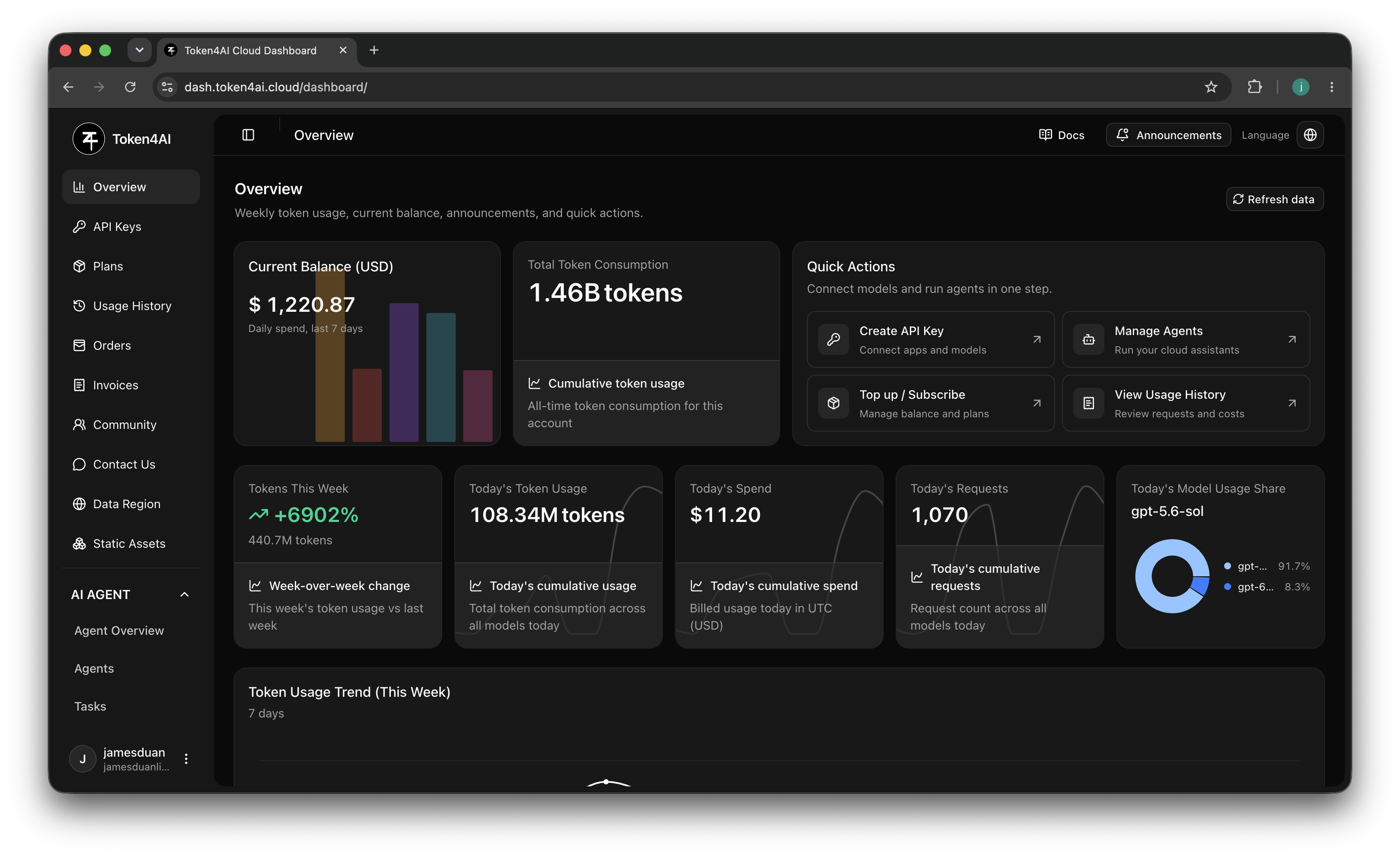 Actual Vega dashboard overview showing account balance, daily spending, token usage, API keys and agent management